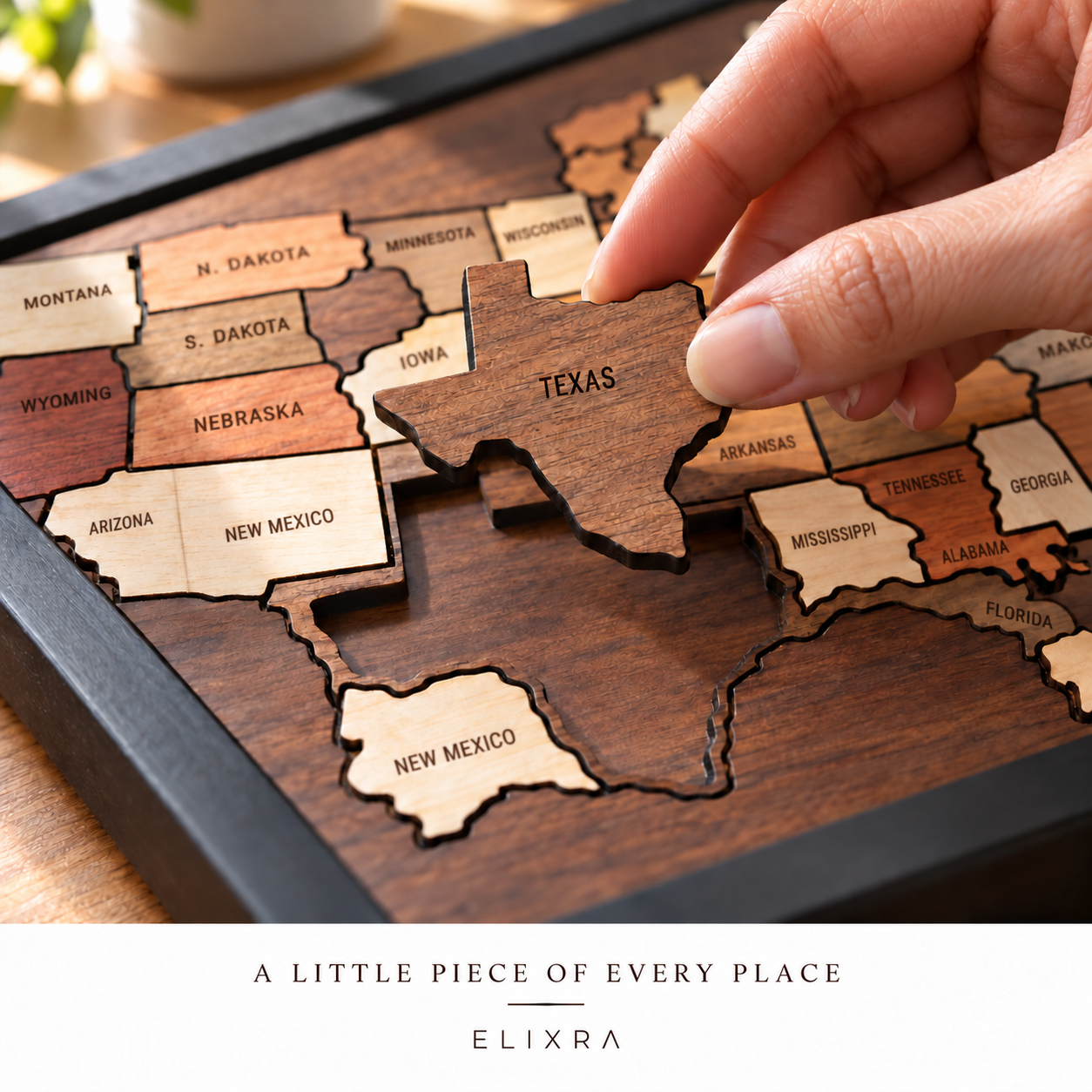 Elixra Wooden State Travel Map